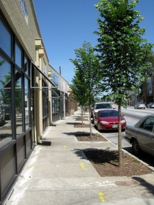 Westview Commercial District After Green