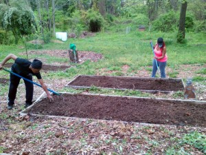 Community Garden Preparation