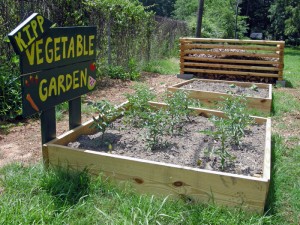 KIPP STRIVE Vegetable Garden