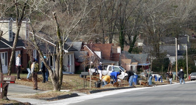 Rogers Avenue Trees Atlanta Planting