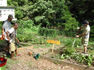 Community Garden Workday