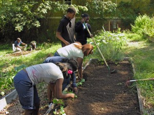 Kids Gardening