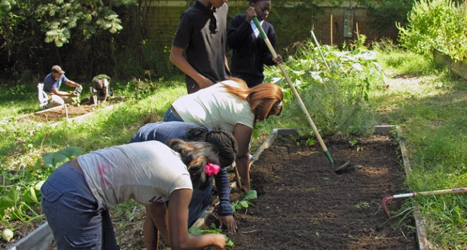 Kids Gardening