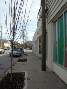 Ralph David Abernathy Tree Plantings