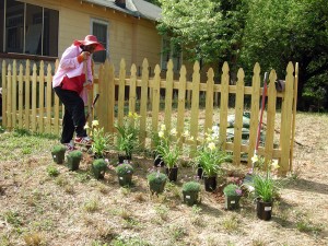 Stokes Avenue Pocket Park