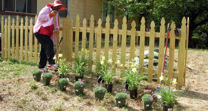 Stokes Avenue Pocket Park