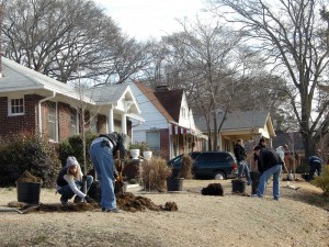 Trees Atlanta Planting in Westview