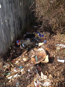 Before clean-up