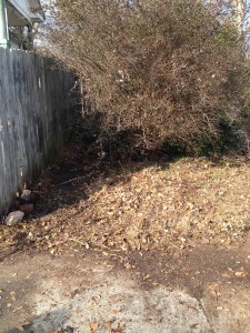 After clean-up