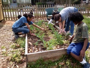 Westview Community Garden