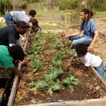 Westview Community Garden