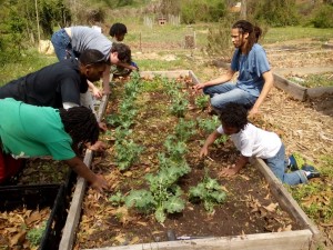 Westview Community Garden