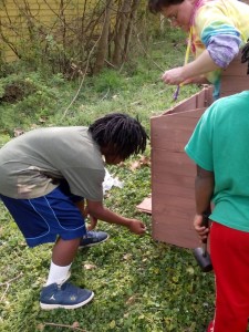 Westview Community Garden Chicken Coop