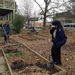 Cleaning up the garden