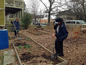 Cleaning up the garden
