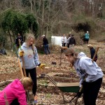 Volunteers cleaning up the garden