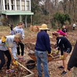 Volunteers cleaning up the garden