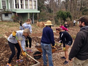 Volunteers cleaning up the garden