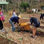 Volunteers cleaning up the garden