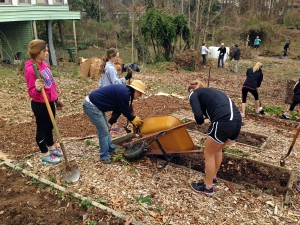 Volunteers cleaning up the garden