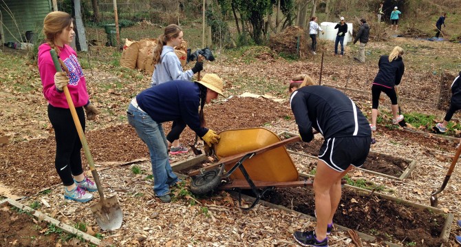 Volunteers cleaning up the garden