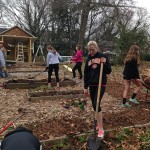 Volunteers cleaning up the garden