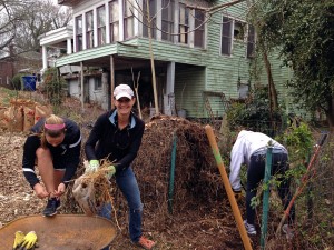 Volunteers cleaning up the garden