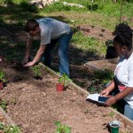 Westview Community Garden Spring Planting