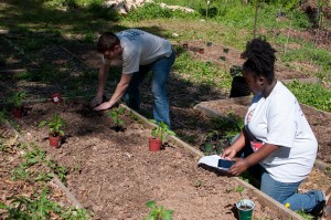 Westview Community Garden Spring Planting