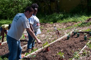 Westview Community Garden Spring Planting
