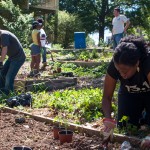 Westview Community Garden Spring Planting