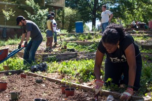 Westview Community Garden Spring Planting