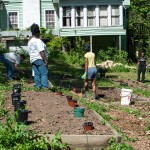 Westview Community Garden Spring Planting