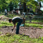 Westview Community Garden Spring Planting