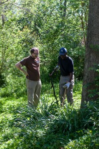 Westview Community Garden Spring Planting