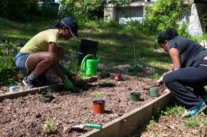 Westview Community Garden Spring Planting