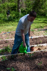 Westview Community Garden Spring Planting