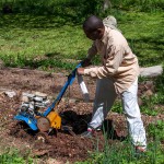 Westview Community Garden Spring Planting