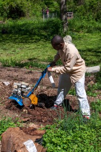 Westview Community Garden Spring Planting