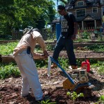 Westview Community Garden Spring Planting