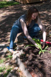 Westview Community Garden Spring Planting