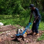 Westview Community Garden Spring Planting