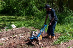 Westview Community Garden Spring Planting