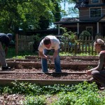 Westview Community Garden Spring Planting