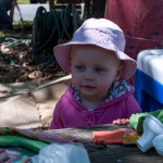 Westview Community Garden Spring Planting