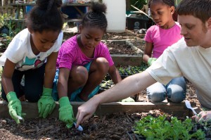 Westview Community Garden Spring Planting