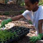 Westview Community Garden Spring Planting