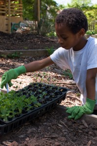 Westview Community Garden Spring Planting
