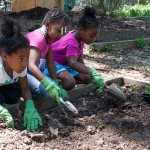 Westview Community Garden Spring Planting