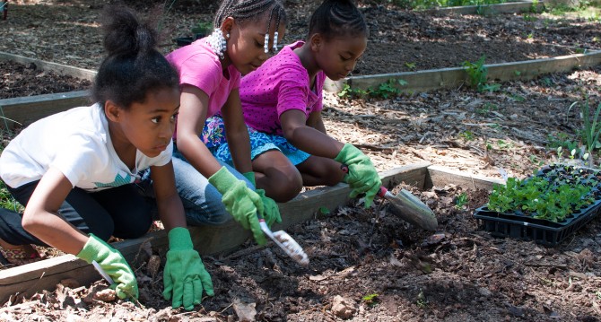 Westview Community Garden Spring Planting